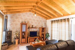 Televisión y chimenea 