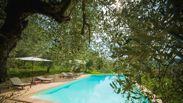 Una piscina rodeada de sillas de descanso y una pérgola, ubicada en un jardín exuberante y verde.
