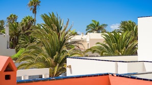A rooftop with palm trees and white buildings under a clear blue sky.