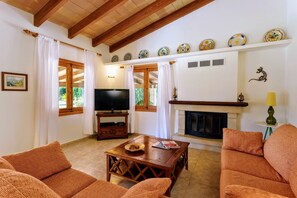 TV, fireplace, books