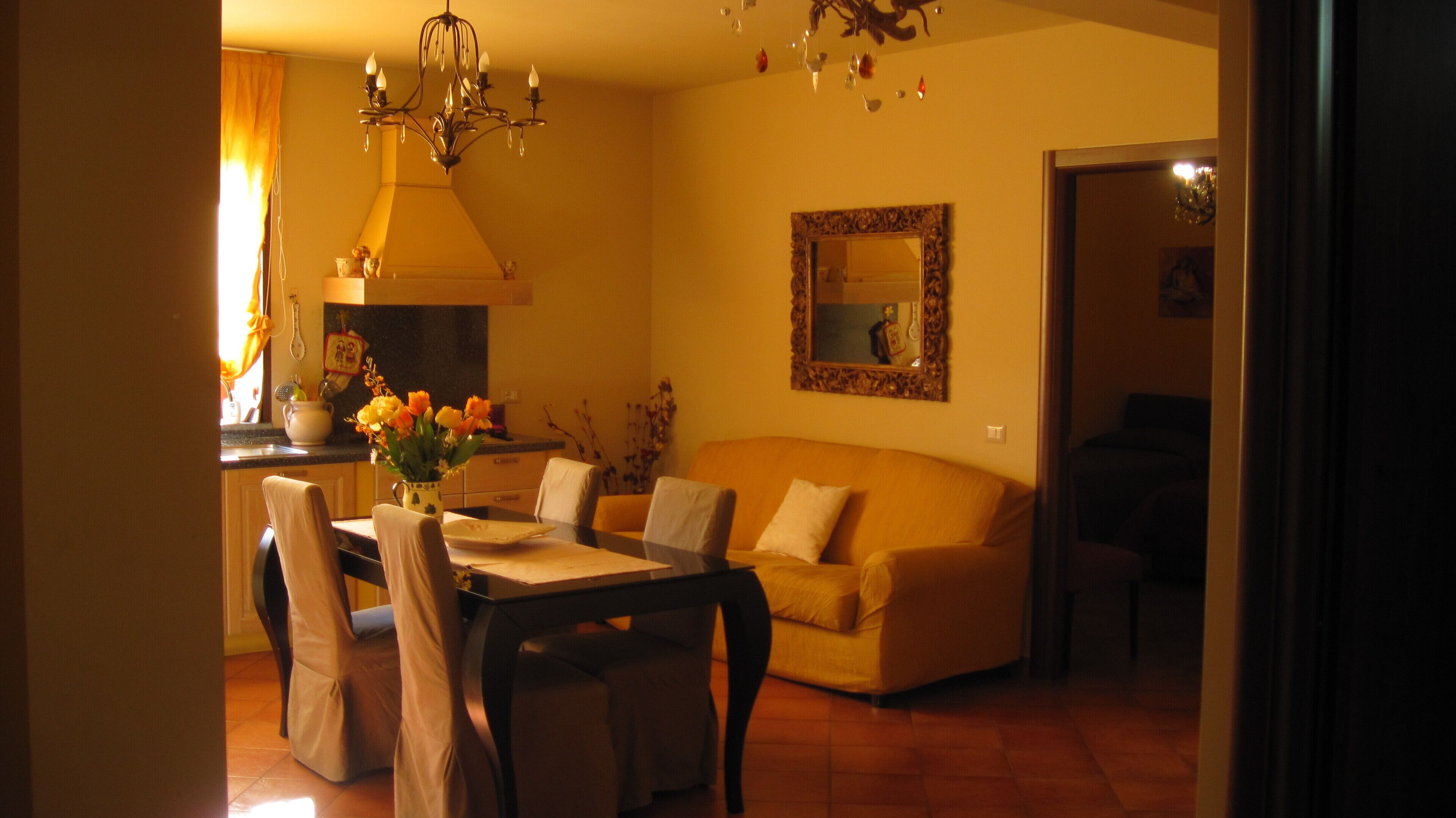 Televisión y libros 