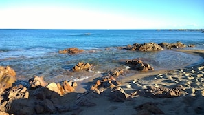 Nära stranden