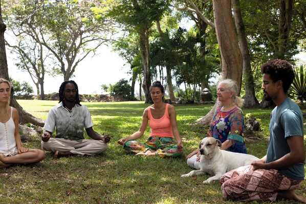 A group of people sitting in a circle outdoors, possibly in a park or garden setting. - We Stay Well Sanctuary Barbados - Wellness in Paradise (Bridgetown)