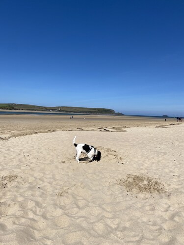 Lovely sunny bungalow near Rock, large secure garden, EV Charger on driveway