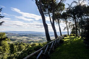 Property grounds - Near Assisi and Gubbio (Piccione)