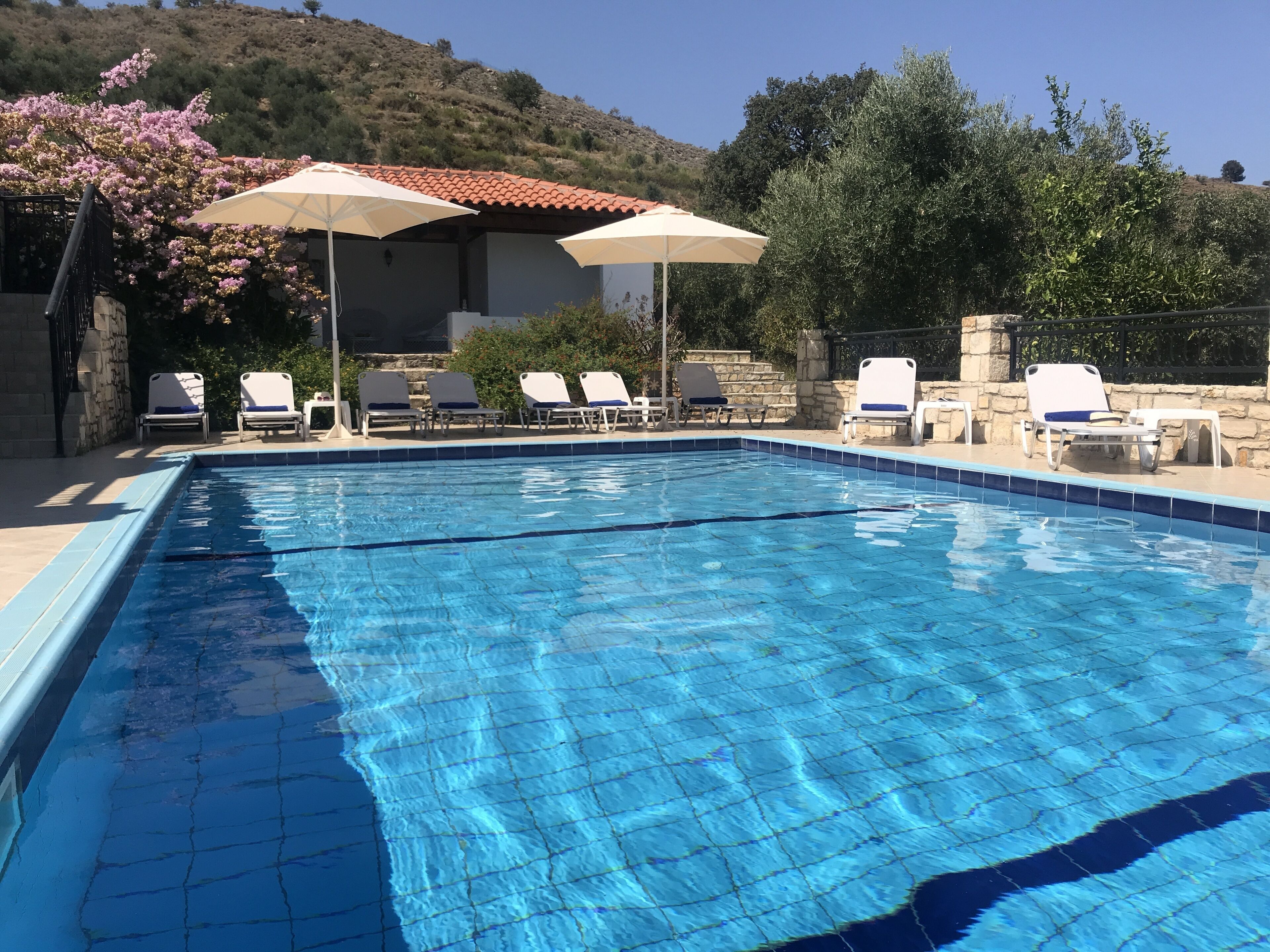Piscine et jardin