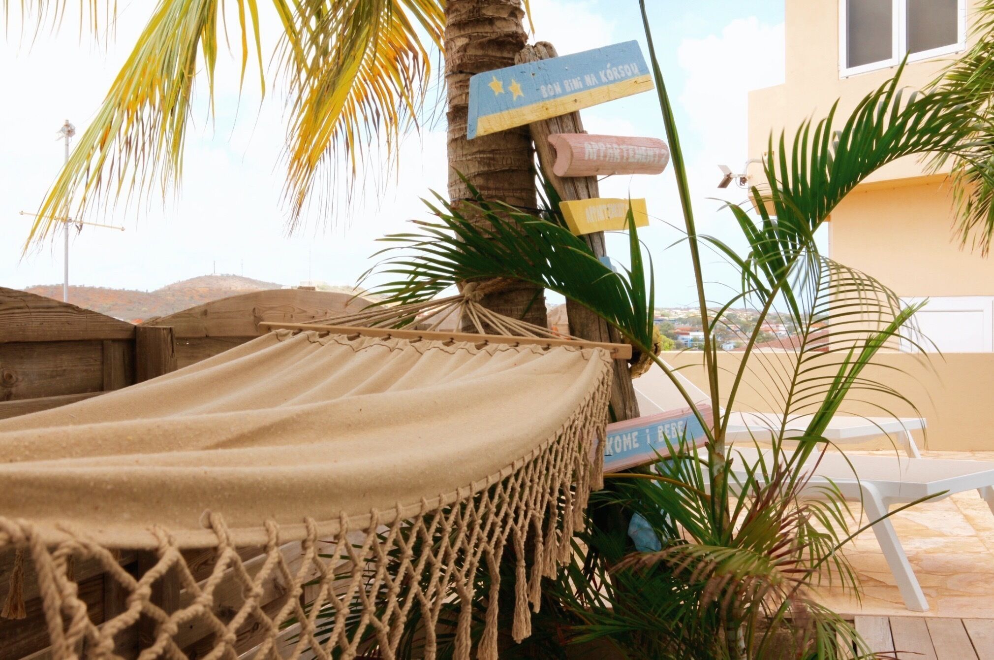 A hammock tied to a palm tree, a wooden signpost with directional signs, and a view of a building in the background.