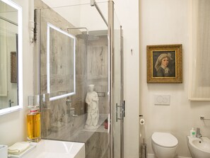 Shower, hair dryer, bidet, towels