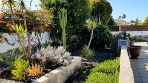 A landscaped garden with various plants, a stone pathway, and a cactus. - Wonderful villa with a large private heated pool and stunning views to the dunes (Corralejo)