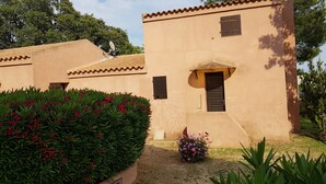 A building with a beige exterior, a door, and a small window. There is a garden with red flowers and green plants in front of the building. - Beautiful villa in park with trees 10 minutes walk from the beach (Porto-Vecchio)