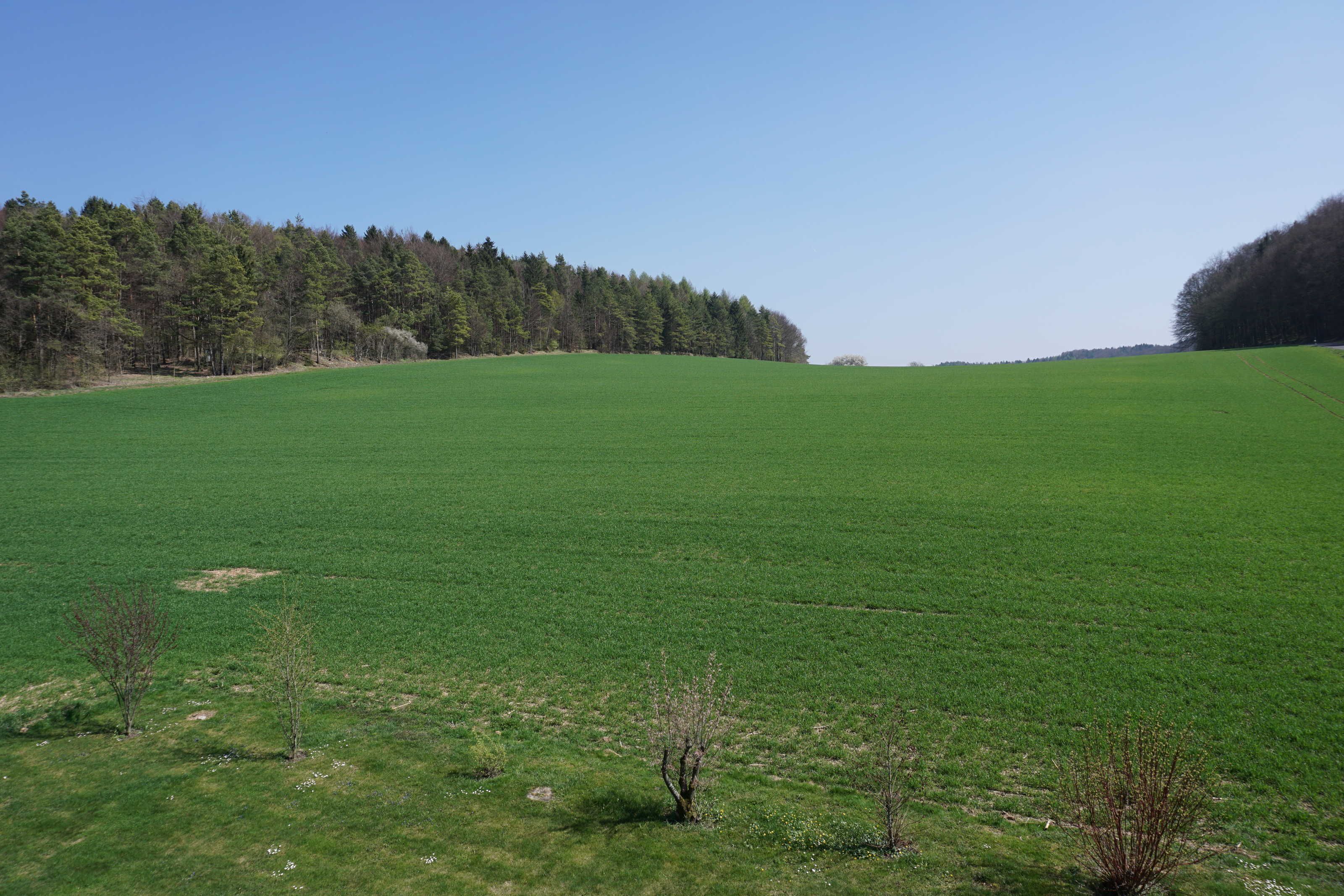 A vast green field with a forested hill in the background.