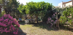 Restauration en plein air