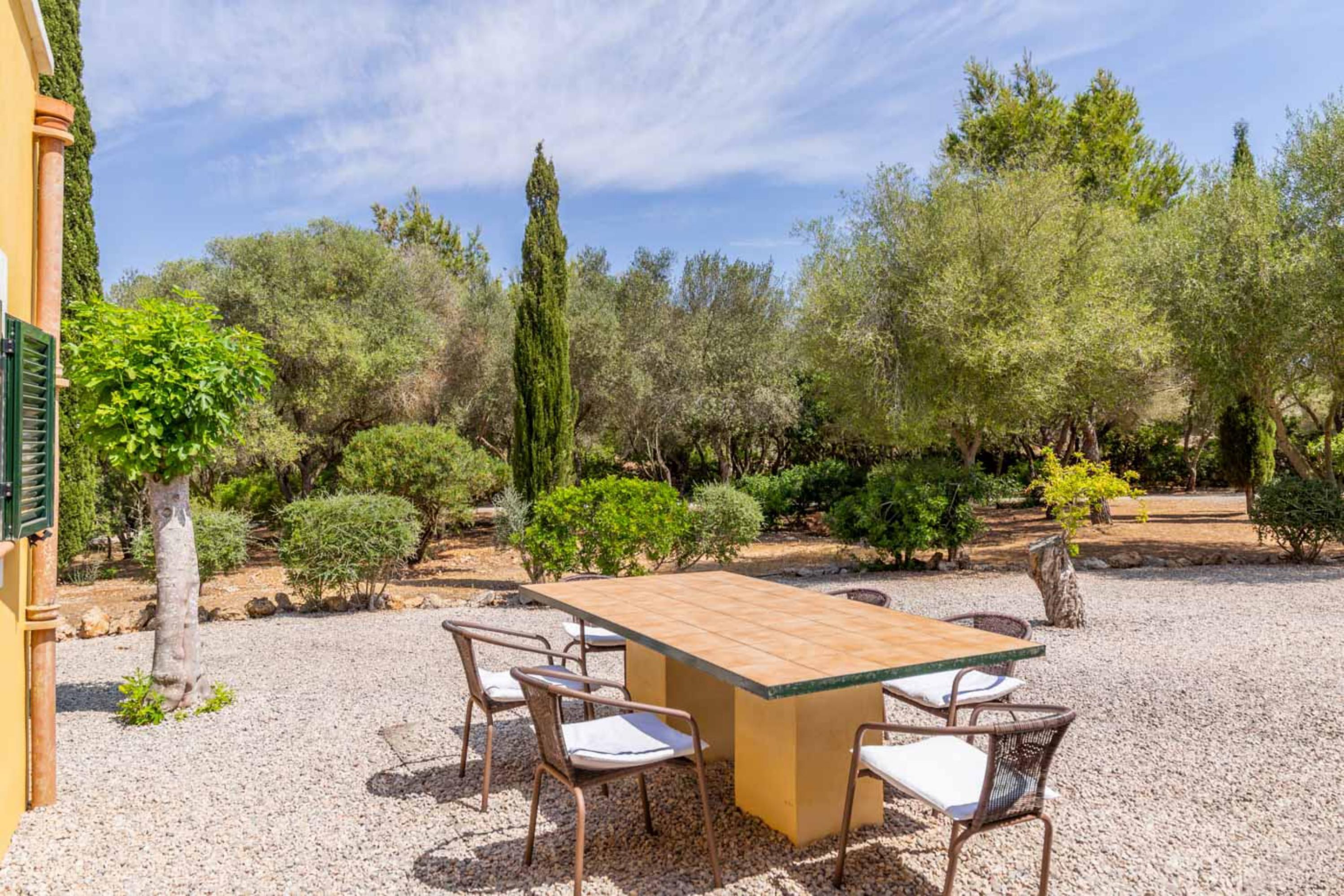 Zona pranzo all'aperto con tavolo rettangolare e quattro sedie, circondata da ghiaia e diversi alberi.