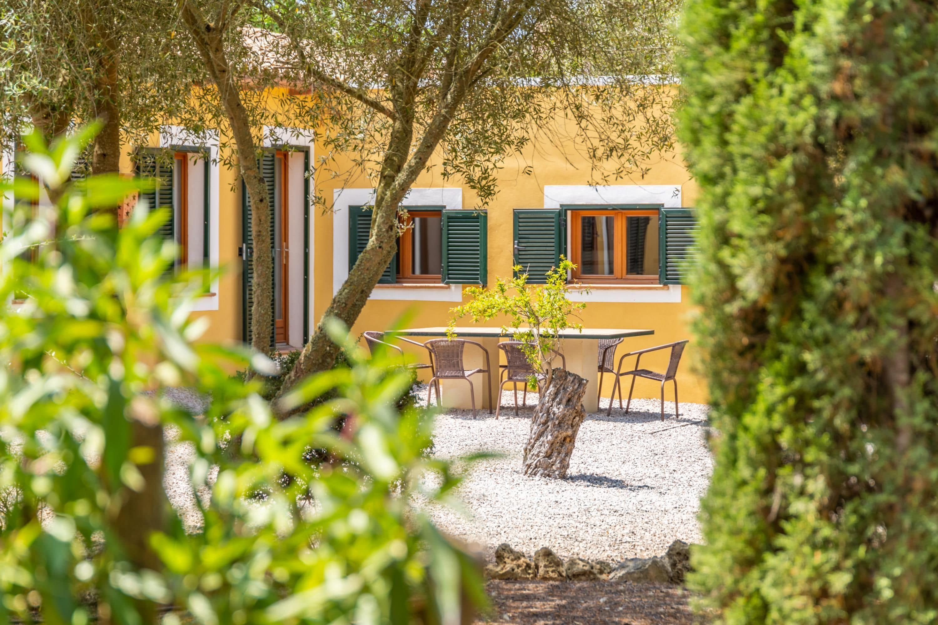 A courtyard with a table and chairs, surrounded by trees and a building with green shutters.