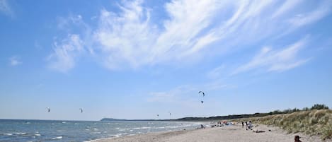 A beach with sand, water, and kites.