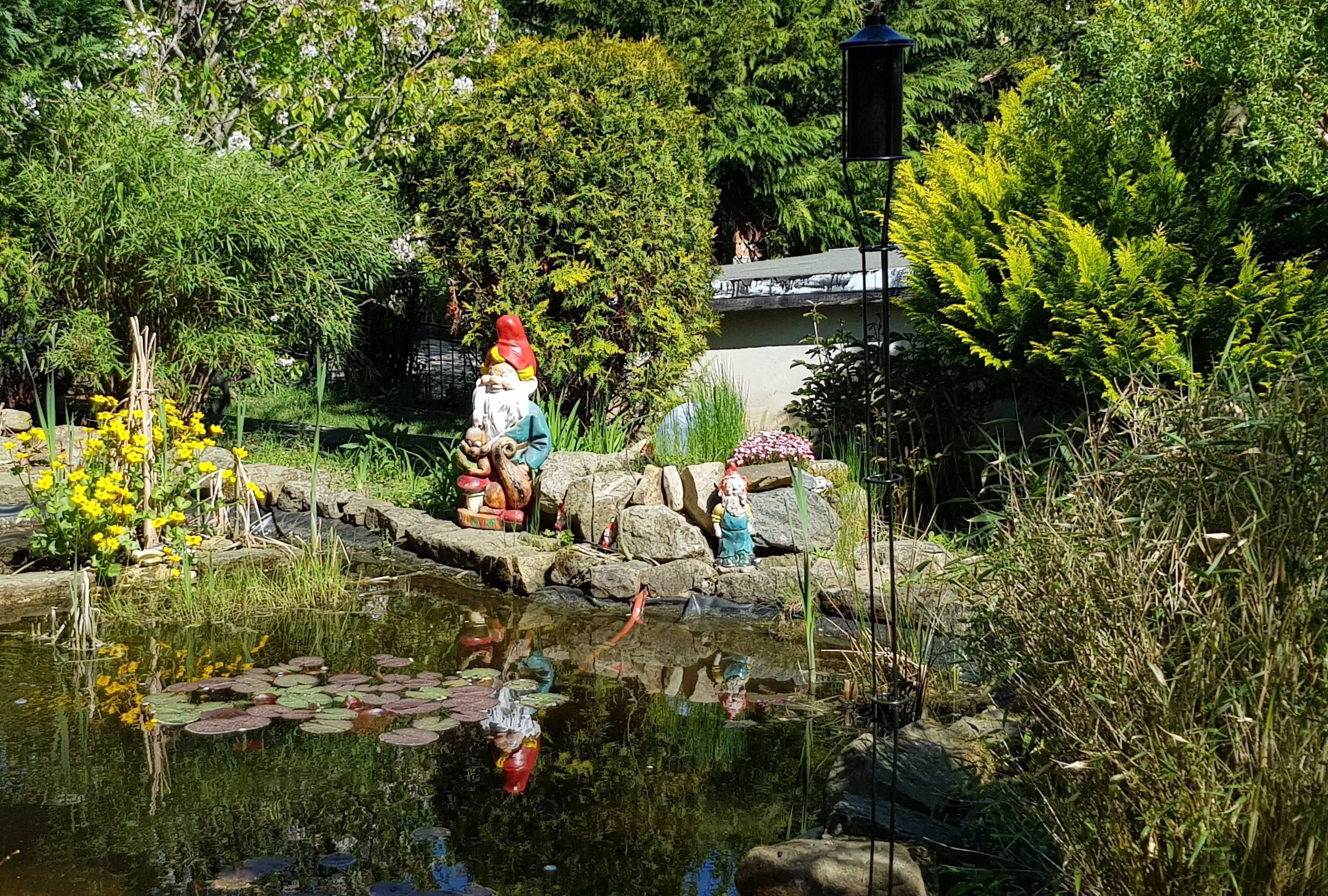 A garden with a pond, rocks, and statues of gnomes.