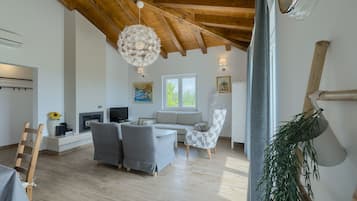 TV, fireplace, books, stereo