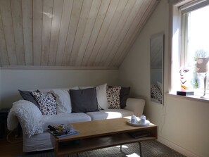 Älytelevisio, kirjoja