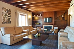 TV, fireplace