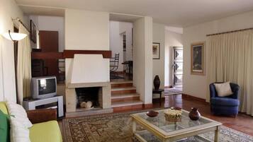 TV, fireplace, DVD player