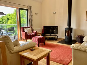 TV, DVD player, table football, books - Luxury home with hot tub. Swimming Pool, Gym & Sauna (Looe)