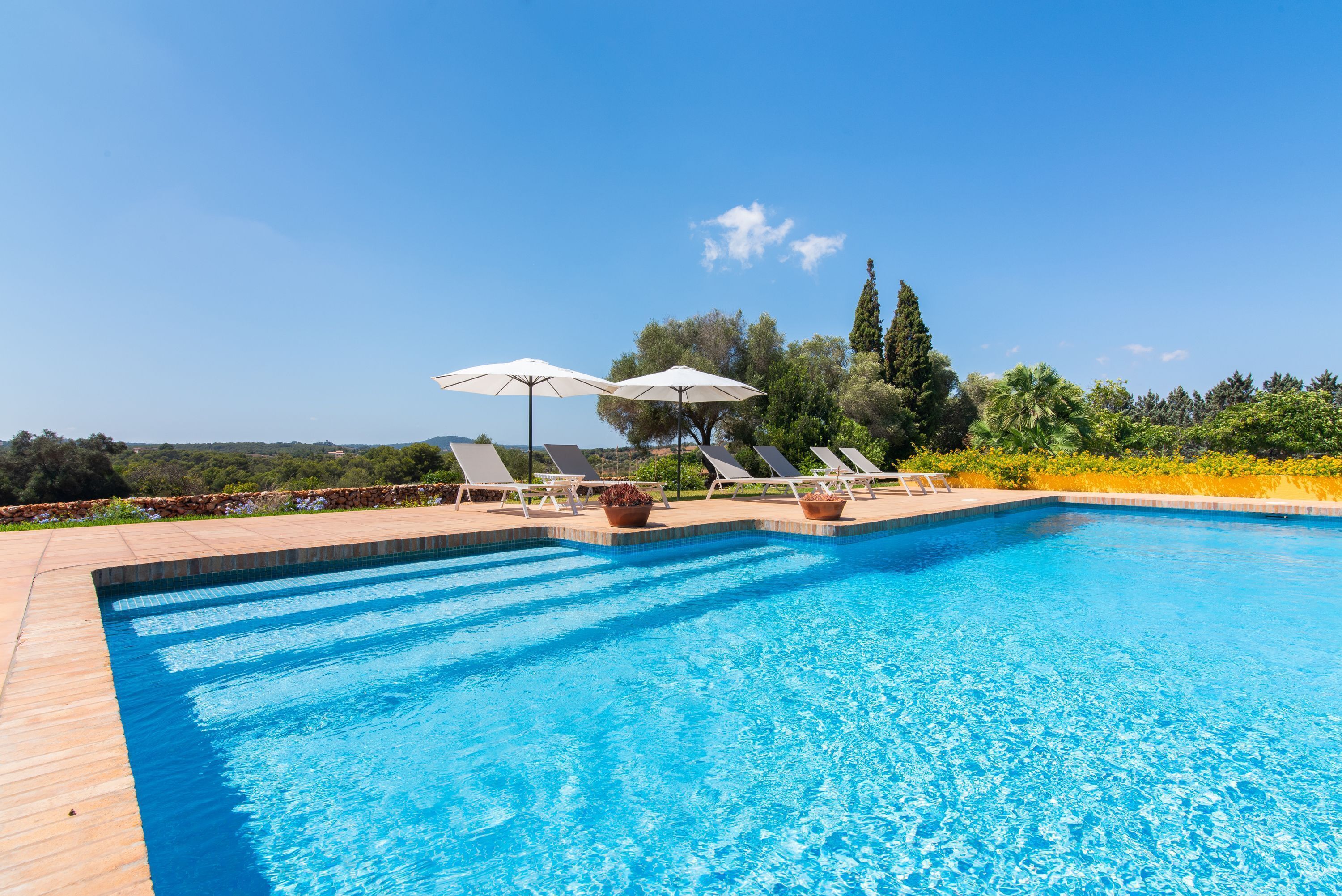 Une piscine entourée de verdure, avec des chaises longues et des parasols, sous un ciel dégagé.