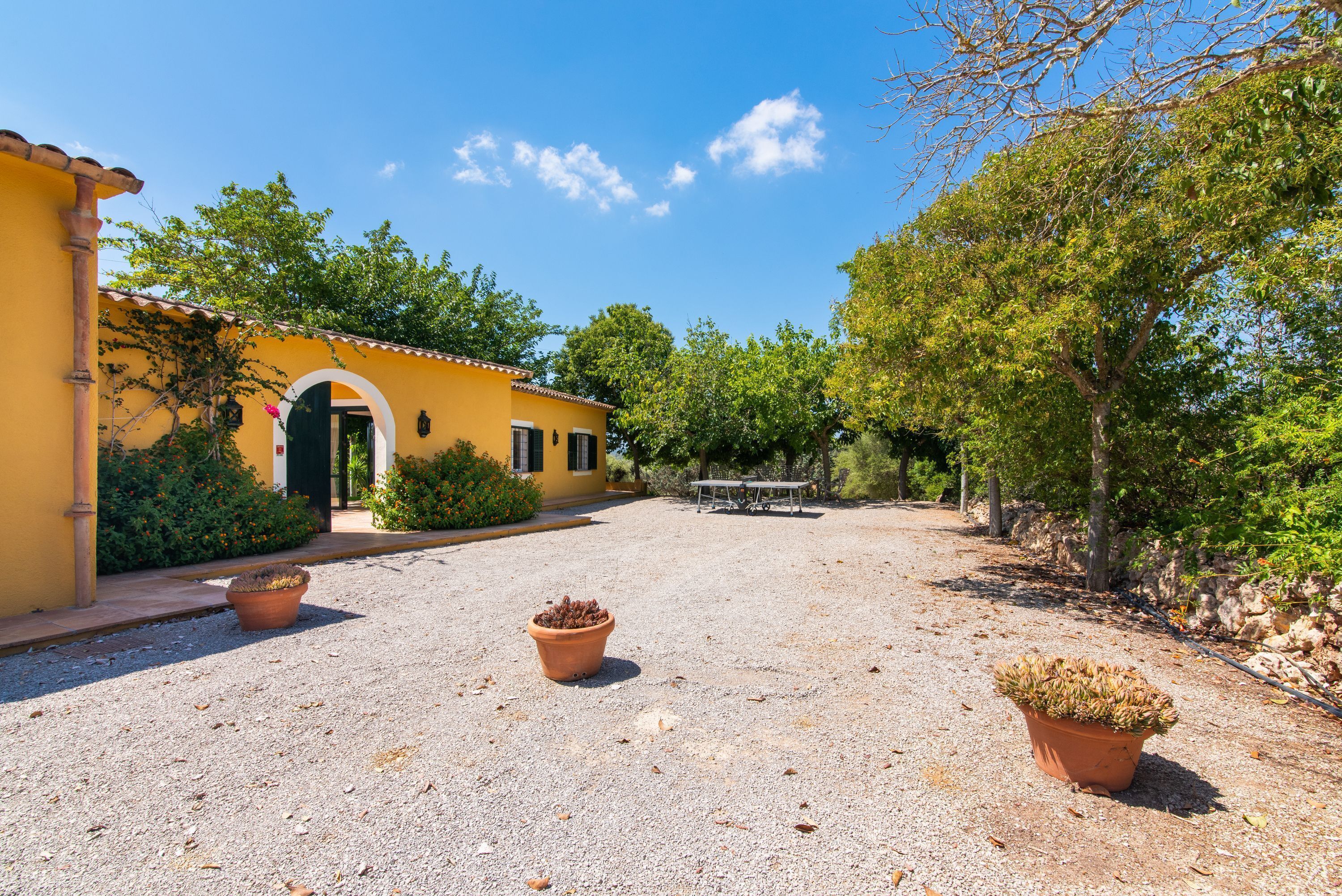 Terrace/patio