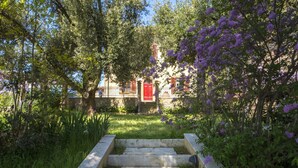 Unclassified image, 3 of 32, button - A path of relaxation and history between vineyards and olive trees - 6 pax (Montaione)