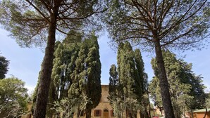 Unclassified image, 5 of 32, button - A path of relaxation and history between vineyards and olive trees - 6 pax (Montaione)