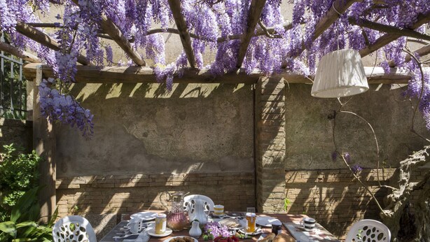 Unclassified image, 1 of 32, button - A path of relaxation and history between vineyards and olive trees - 6 pax (Montaione)