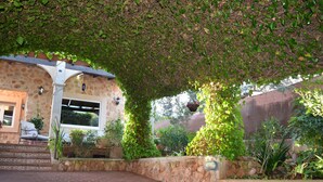 A stone building with a covered patio, steps leading to a door, and various potted plants. - CASA PIEDRA MALLORCA (Son Ferrer)