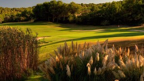 A golf course with a flagstick, well-manicured grass, and tall grasses in the foreground. - CASA PIEDRA MALLORCA (Son Ferrer)