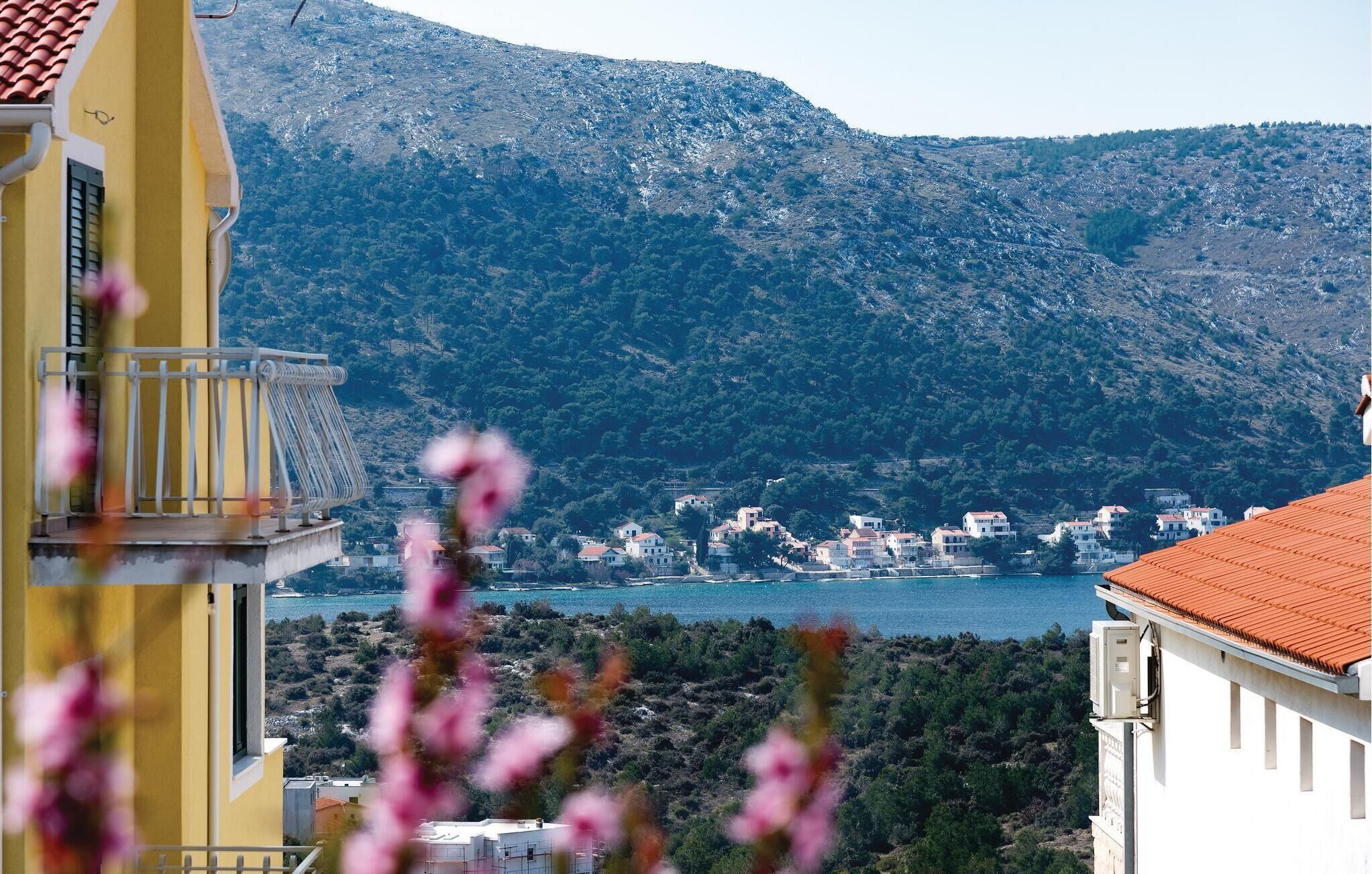 Vue depuis l’hébergement