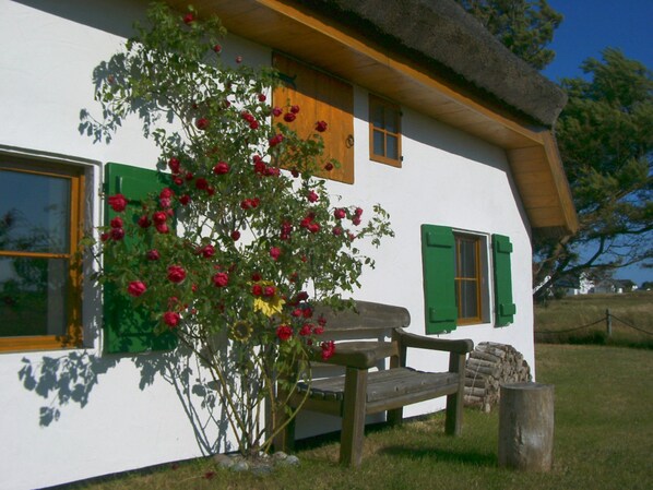 A traditional house with a thatched roof, a wooden bench, and a rose bush in front.