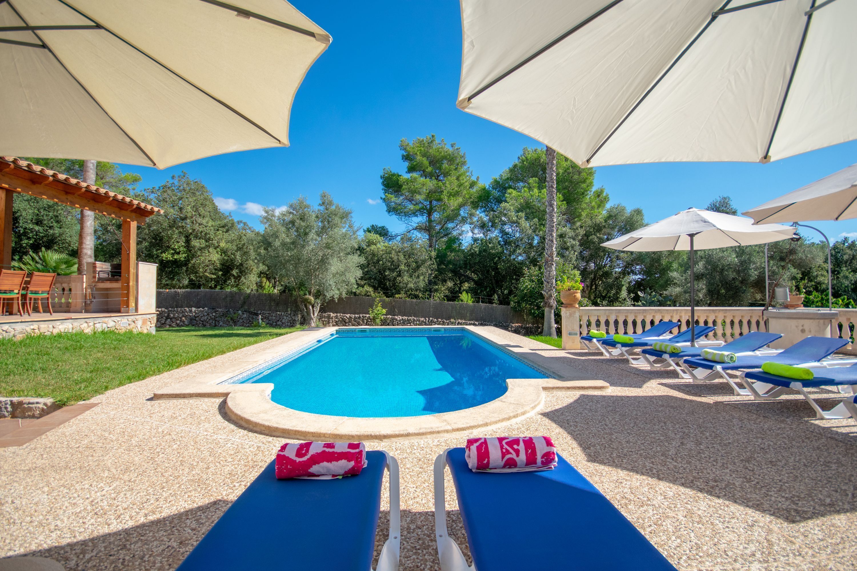 Une piscine entourée de verdure, avec des chaises longues et des parasols.