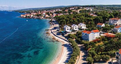 Maison acceptant les animaux de.