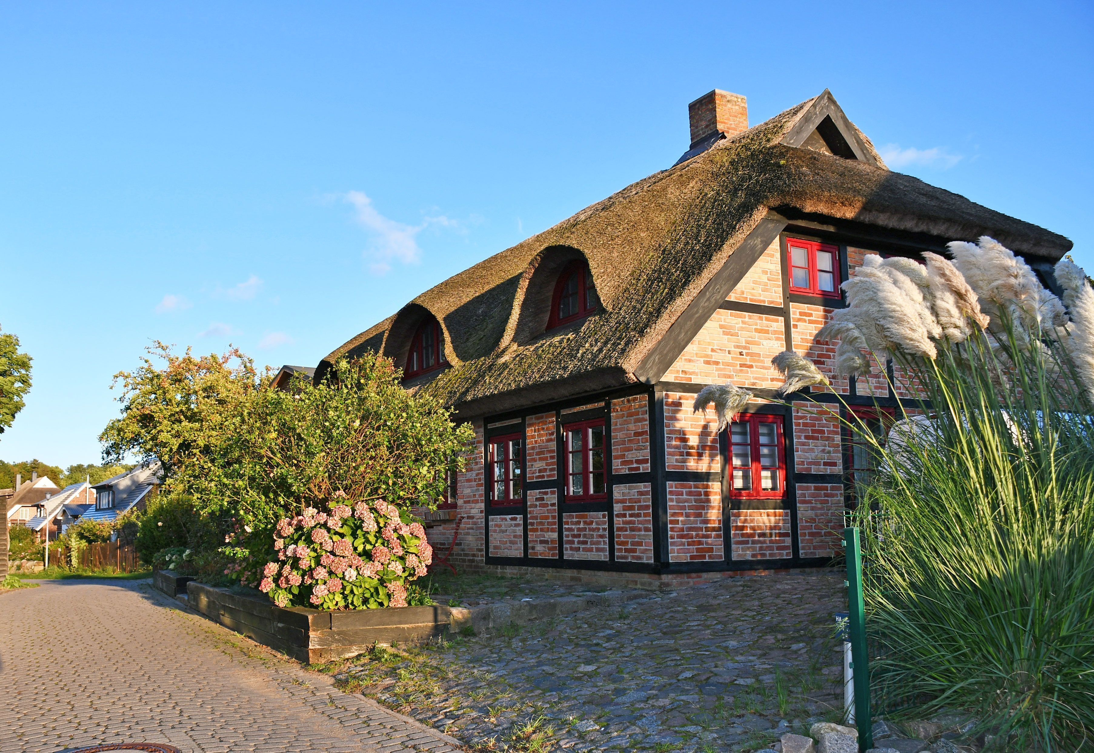 Eksteriør