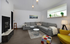 TV, fireplace, ping pong