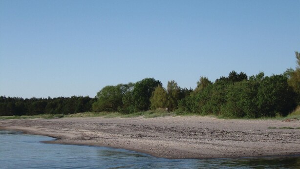 A natural landscape with a sandy beach and dense forest. - 3 bedroom stunning home in Slite (Slite)