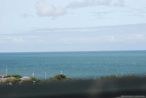 Unclassified image, 4 of 5, button