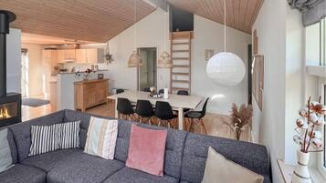 TV, fireplace, DVD player
