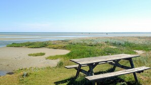 Une table de pique-nique installée dans un espace verdoyant, avec vue sur la plage et l’océan.
