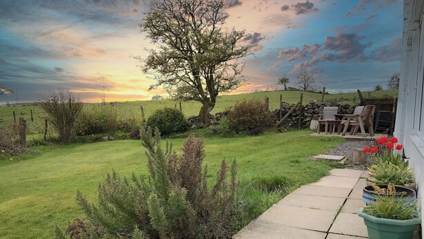 A garden with a lawn, a tree, and a stone wall.