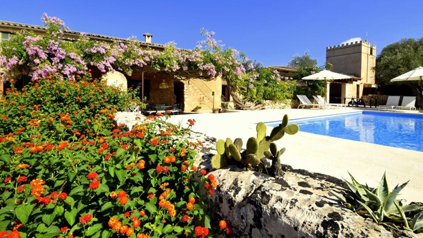 A pool area with a clear blue sky, surrounded by lush greenery and flowering plants. - 763424 Finca Conies - 763424 Ses Conies (Manacor)