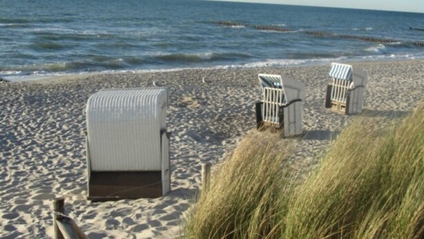 Ein Strand mit drei Liegen und einem Holzzaun.