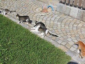 Overnattingsstedets uteområder