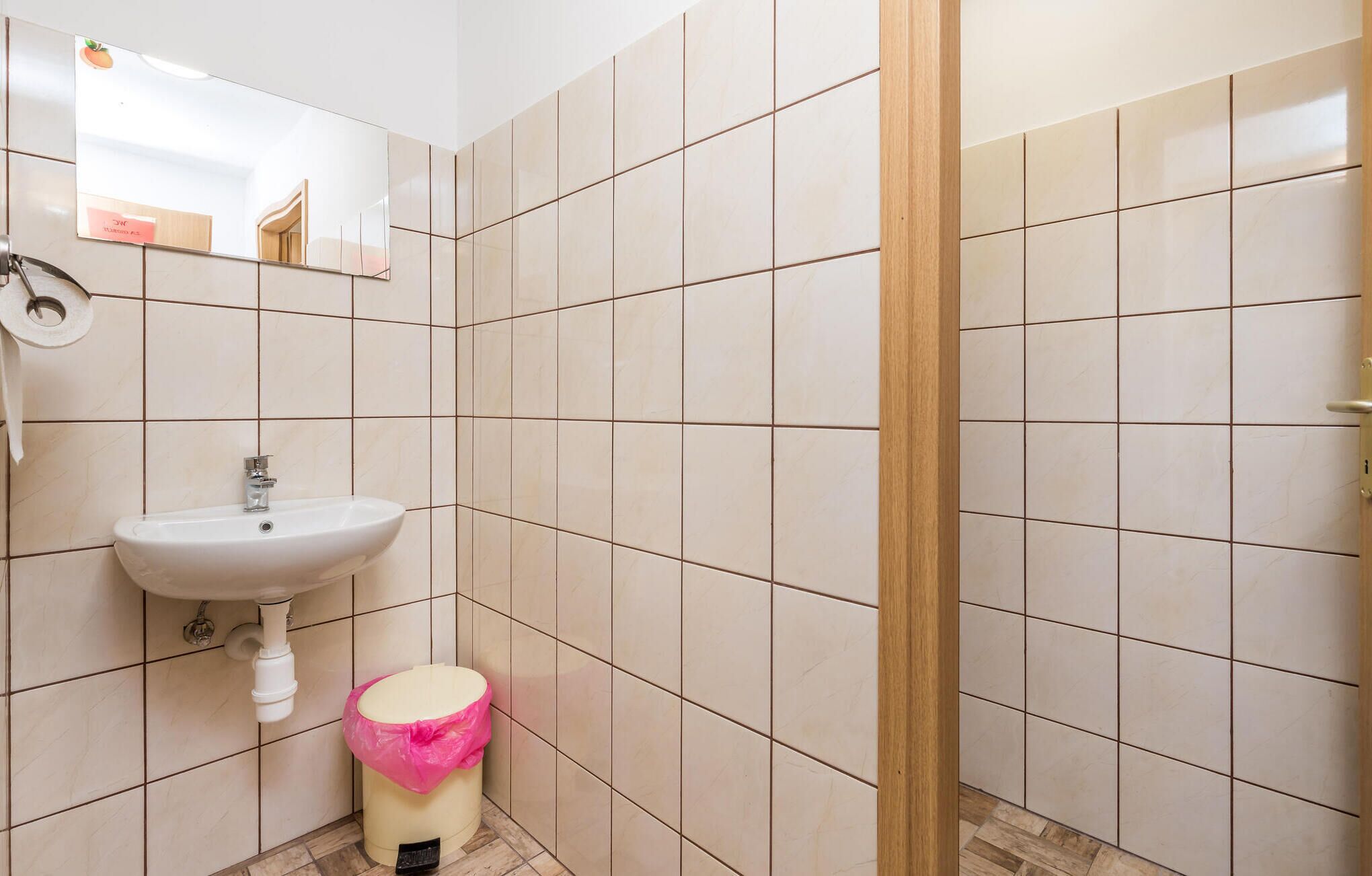 A bathroom with a sink, mirror, and toilet.