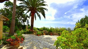 Un jardín con pavimento de piedra, una palmera, plantas en macetas y un banco de piedra.
