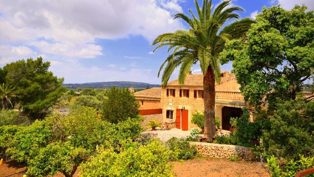 Una villa rústica con fachada de piedra, una palmera y un jardín con diversas plantas.