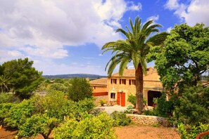 A rustic villa with a stone facade, a palm tree, and a garden with various plants. - 44273 Finca Can Cetrí (San Lorenzo)